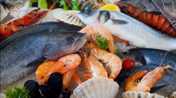 تحديثات الأسعار.. قائمة أسعار الأسماك والجمبري في الأسواق المصرية خلال تعاملات الثلاثاء